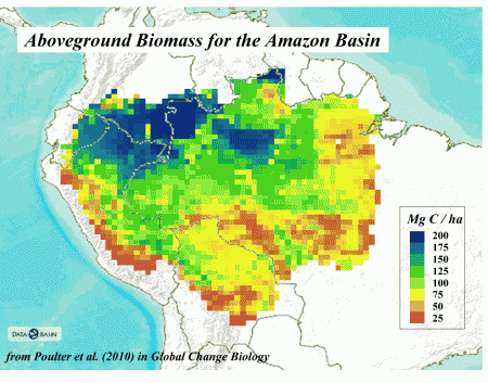 Map Amazon Rainforest Share Map