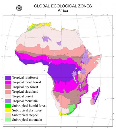 Jungle Maps: Map Of Africa Vegetation Zones