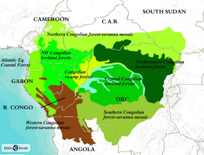 Congo Basin Africa Map | Living Room Design 2020