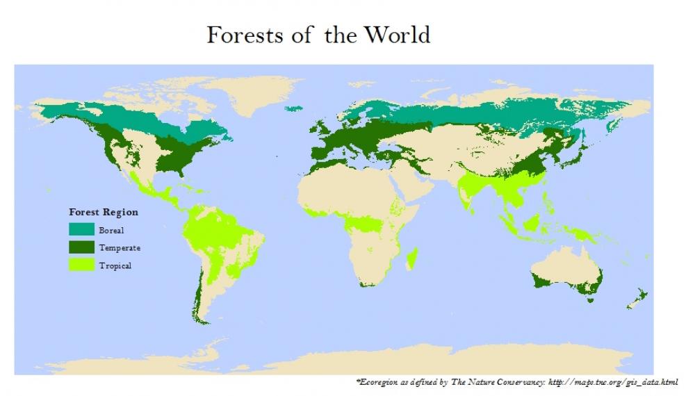 wwf ecoregions shapefile