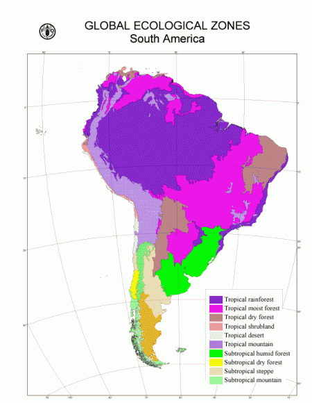 Latin America Physical Map Amazon Basin