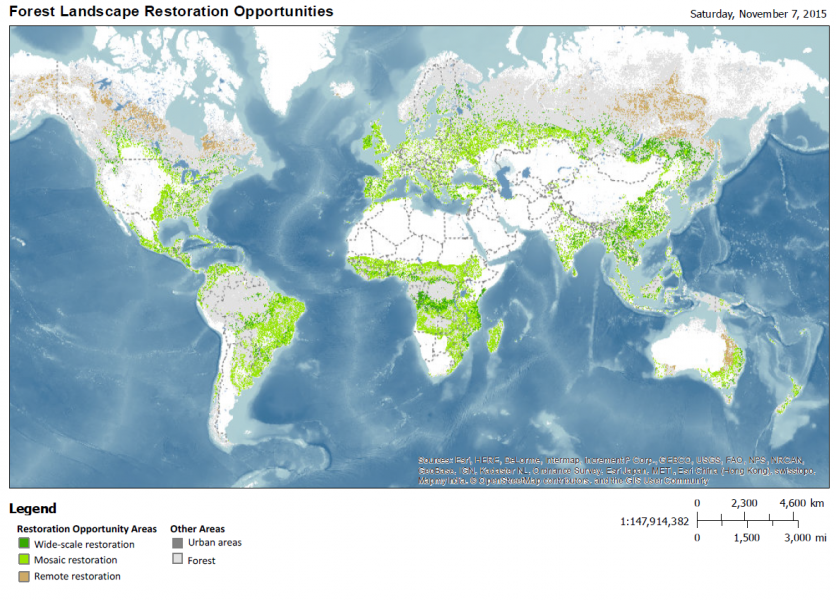 Forest Restoration & Reforestation | Global Forest Atlas