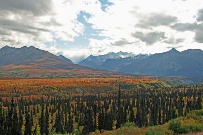 Climate Change Boreal Forests Global Forest Atlas - 